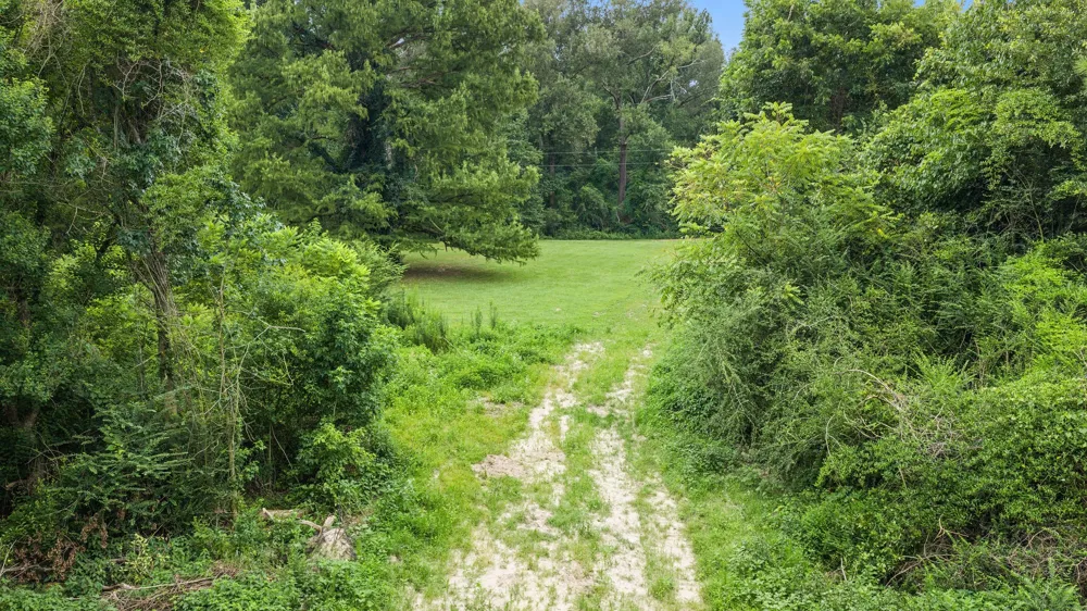 1609 County Road 3224 Center, TX 75935