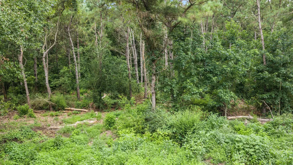 1609 County Road 3224 Center, TX 75935
