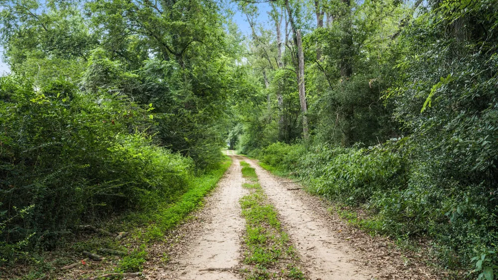 1609 County Road 3224 Center, TX 75935