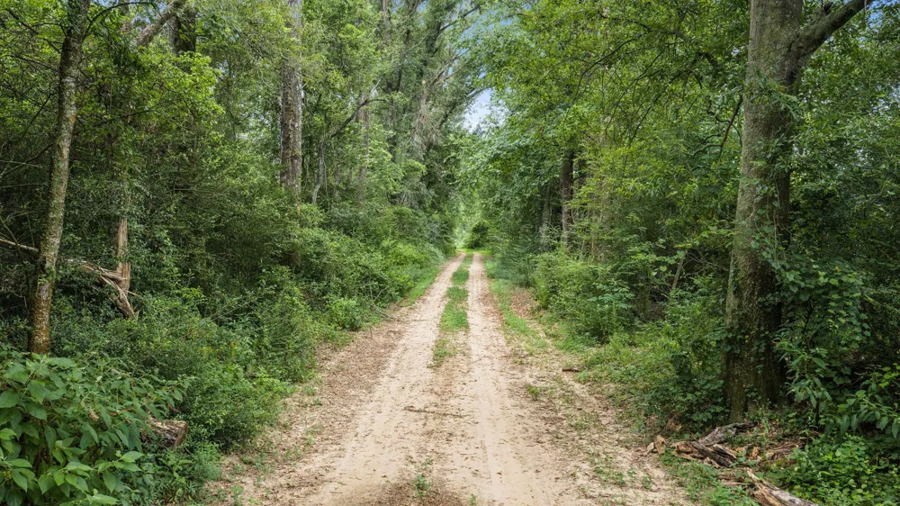 1609 County Road 3224 Center, TX 75935