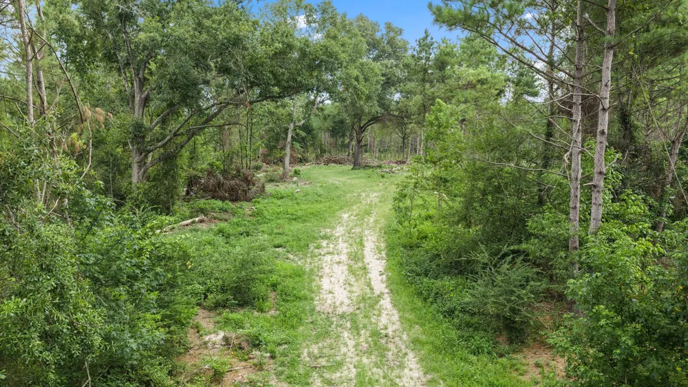 1609 County Road 3224 Center, TX 75935