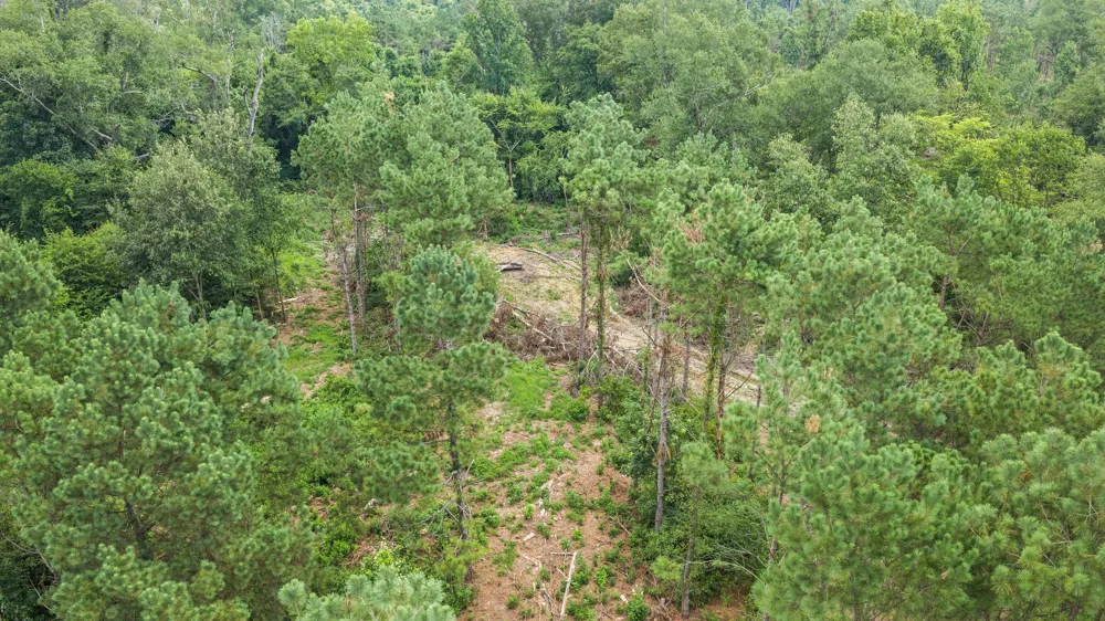 1609 County Road 3224 Center, TX 75935