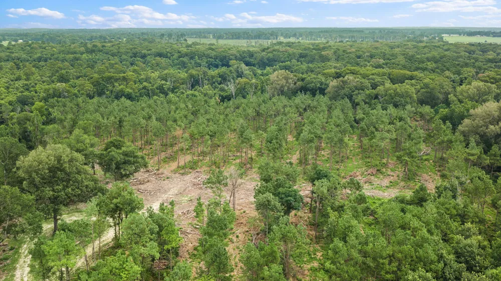 1609 County Road 3224 Center, TX 75935