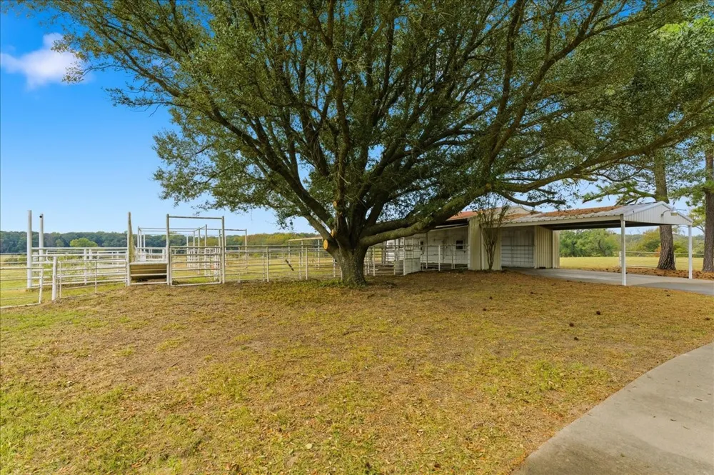 10736 E Highway 154 Sulphur Springs, TX 75482