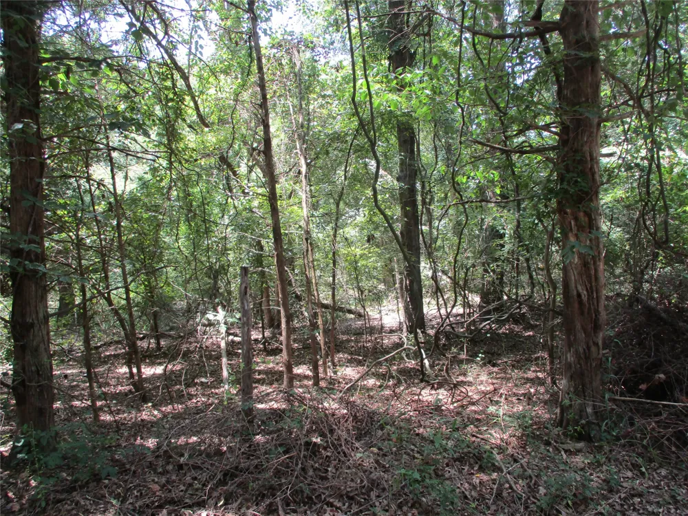 517 Rains County Road 1275 Emory, TX 75440