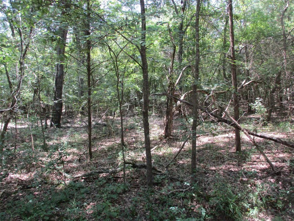 517 Rains County Road 1275 Emory, TX 75440