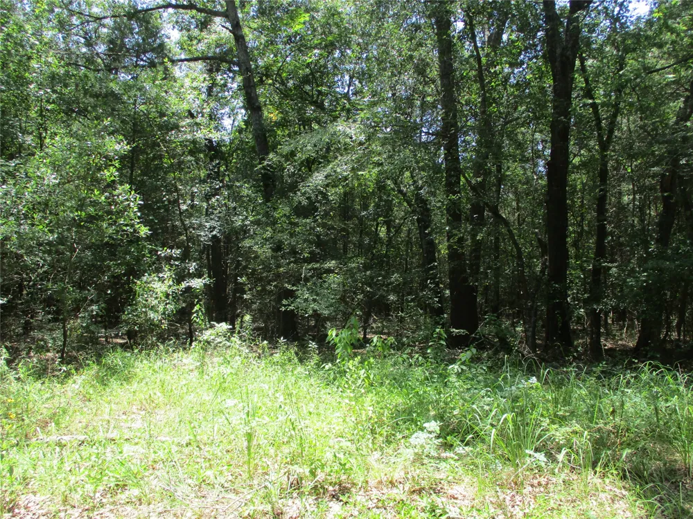 517 Rains County Road 1275 Emory, TX 75440