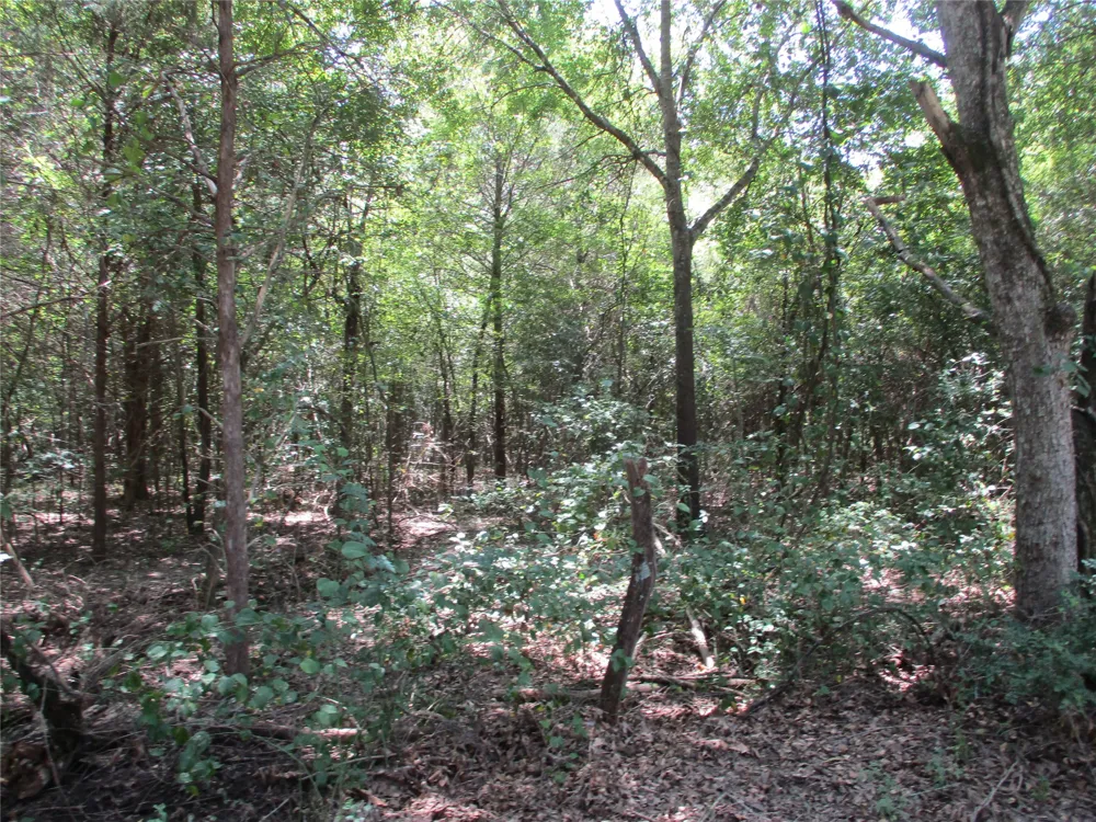 517 Rains County Road 1275 Emory, TX 75440