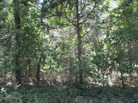 517 Rains County Road 1275