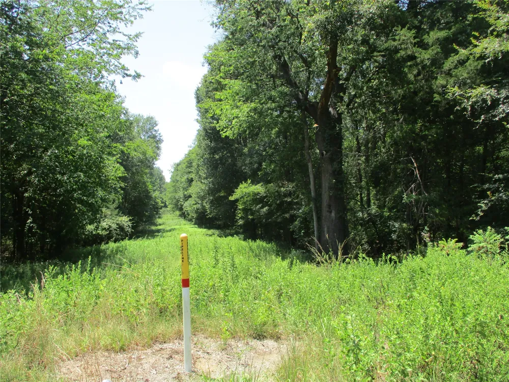 517 Rains County Road 1275 Emory, TX 75440