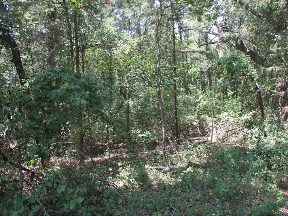 517 Rains County Road 1275 Emory, TX 75440