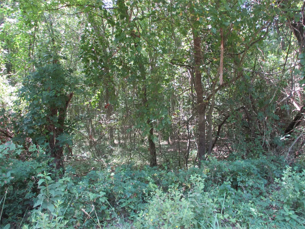517 Rains County Road 1275 Emory, TX 75440