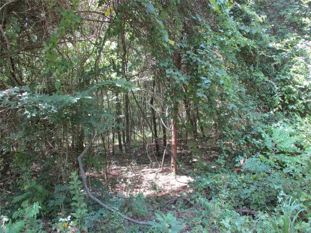 517 Rains County Road 1275 Emory, TX 75440