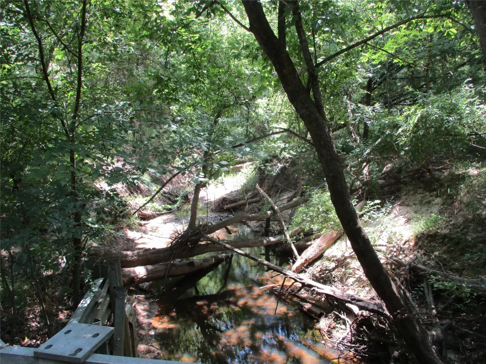 517 Rains County Road 1275 Emory, TX 75440
