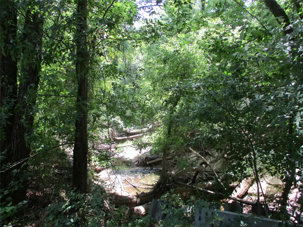 517 Rains County Road 1275 Emory, TX 75440