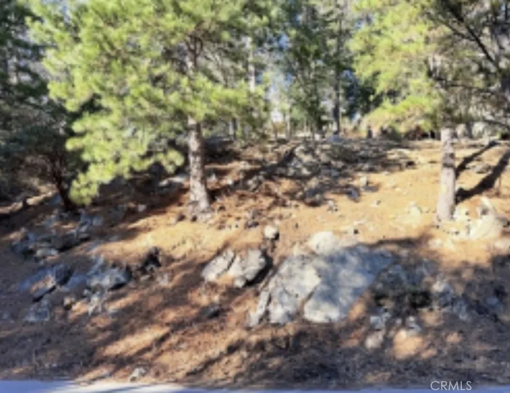Thunderbird Lake Arrowhead, CA 92352