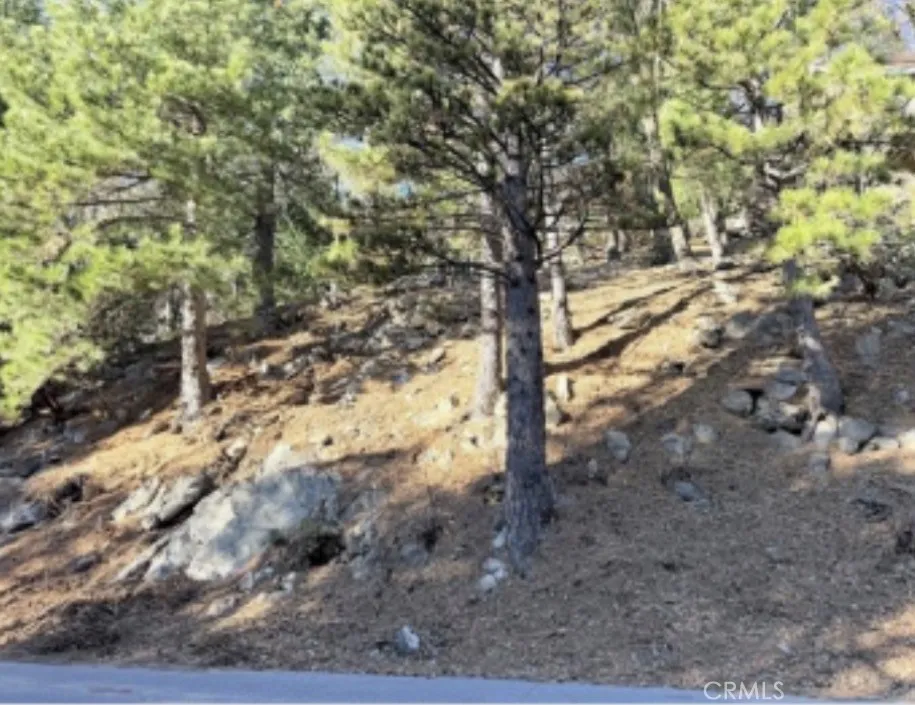 Thunderbird Lake Arrowhead, CA 92352