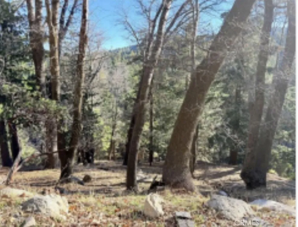Thunderbird Lake Arrowhead, CA 92352