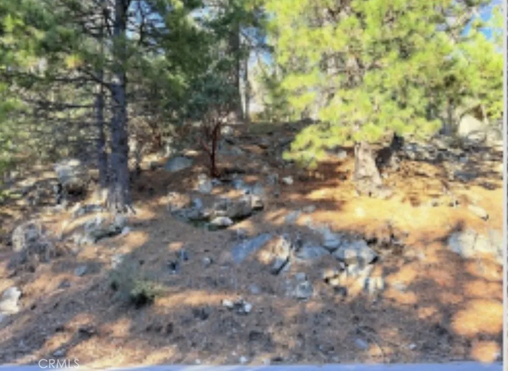 Thunderbird Lake Arrowhead, CA 92352