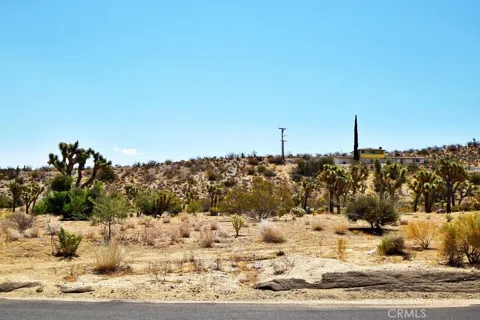 Joshua Lane