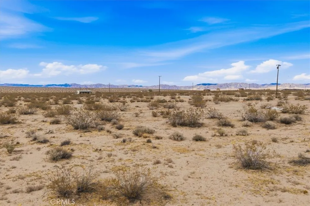 Sand Trail Joshua Tree, CA 92252