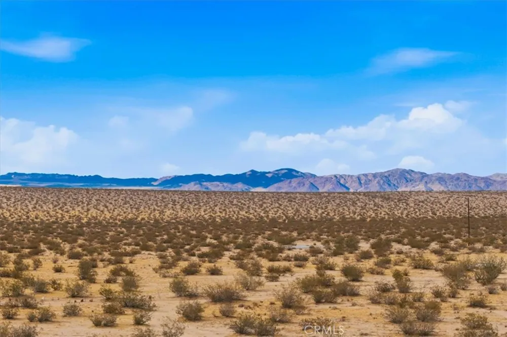 Sand Trail Joshua Tree, CA 92252