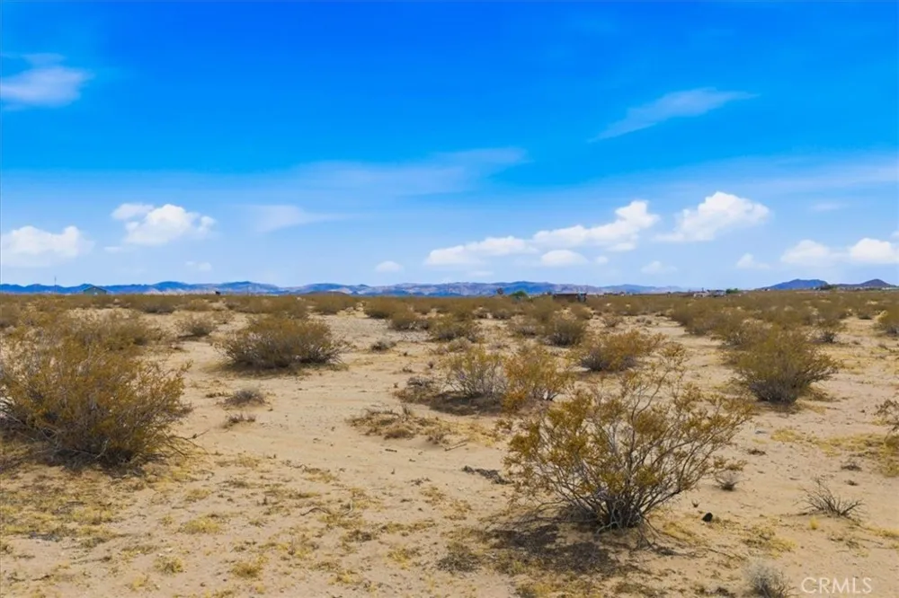 Sand Trail Joshua Tree, CA 92252