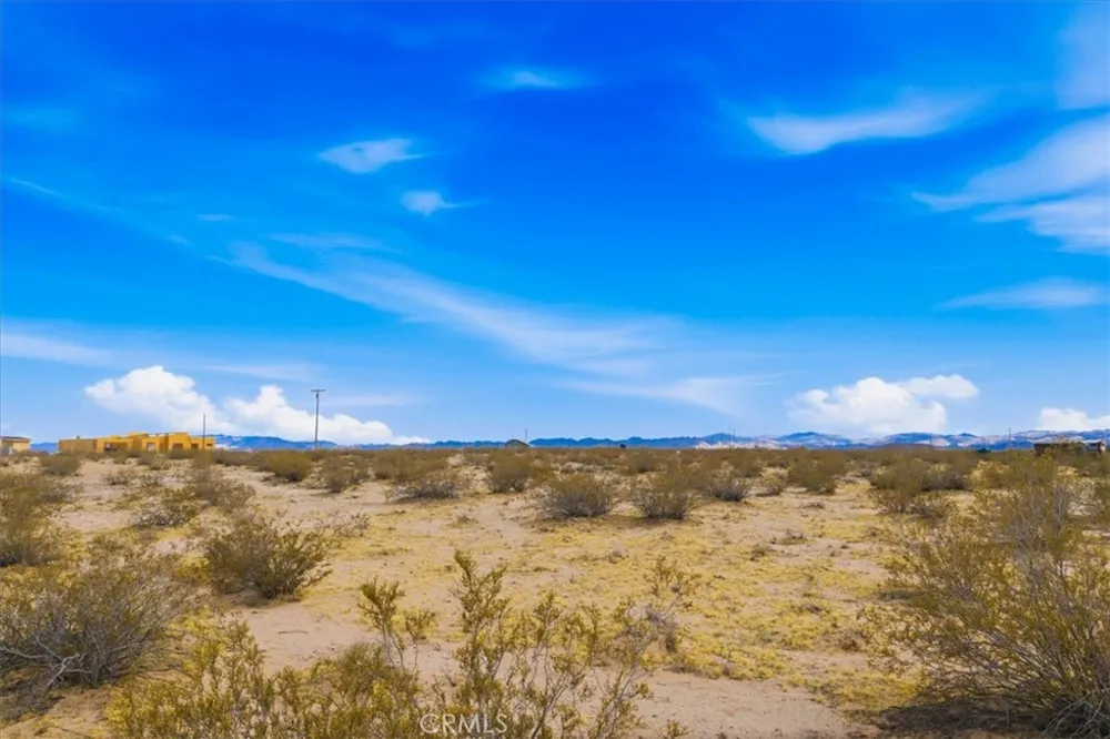 Sand Trail Joshua Tree, CA 92252