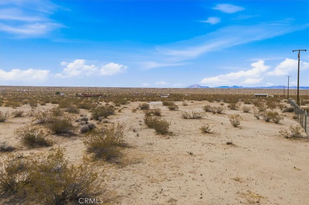 Sand Trail Joshua Tree, CA 92252