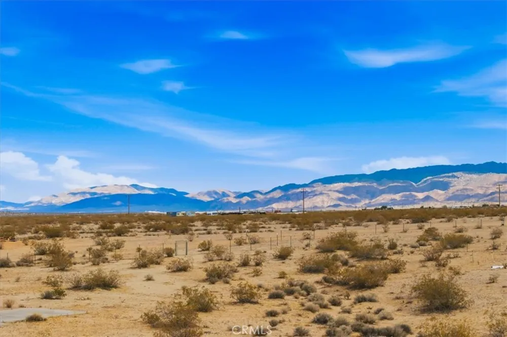 Sand Trail Joshua Tree, CA 92252