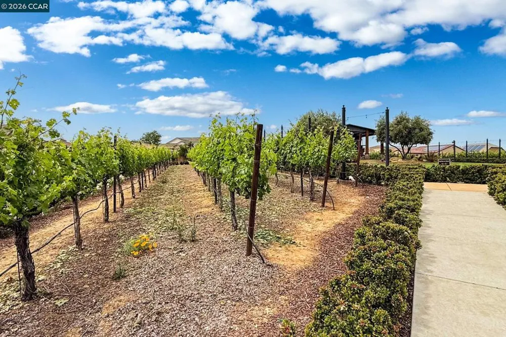 1760 MERLOT CIRCLE Brentwood, CA 94513