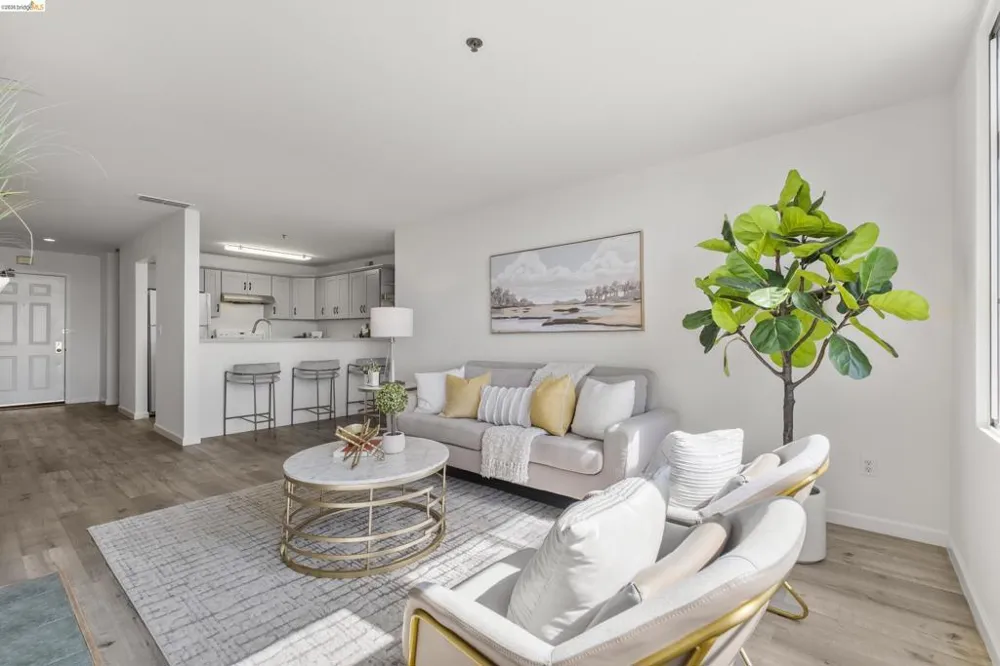 535 Pierce St #1207 Albany, CA 94706