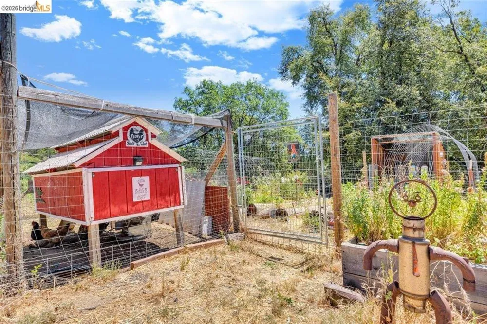 9935 Jackass creek Rd Groveland, CA 95321