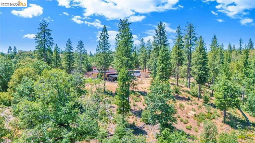 9935 Jackass creek Rd Groveland, CA 95321