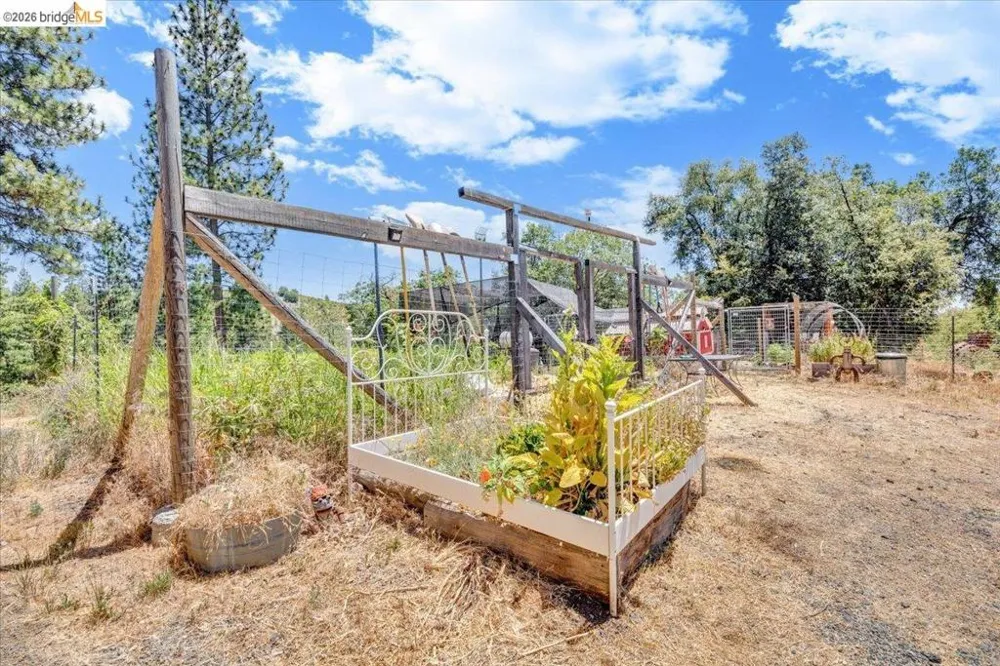 9935 Jackass creek Rd Groveland, CA 95321