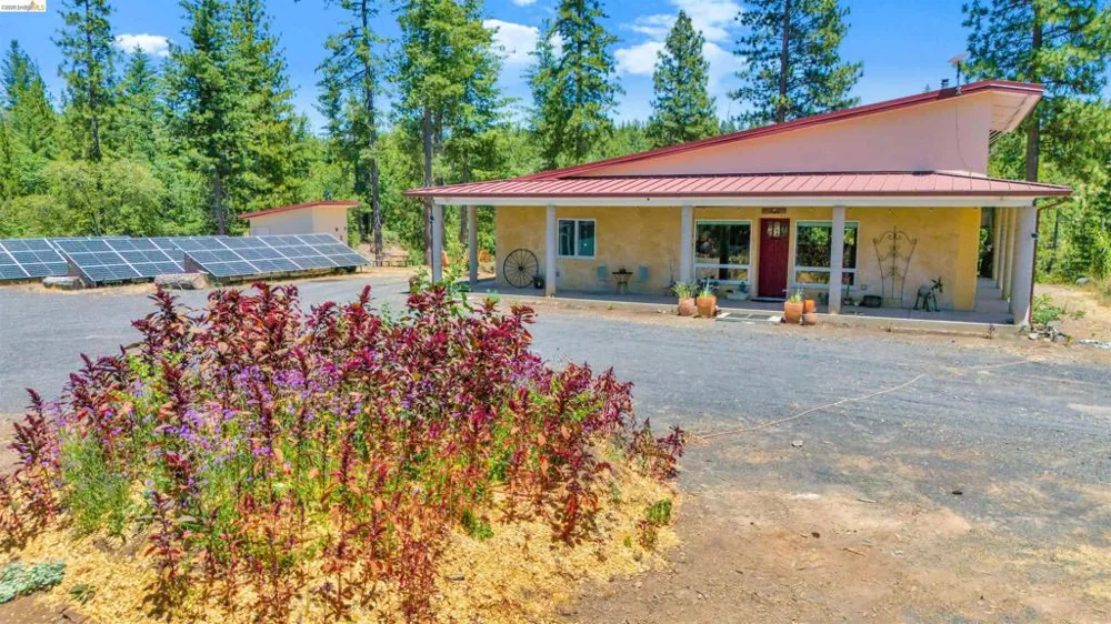 9935 Jackass creek Rd Groveland, CA 95321
