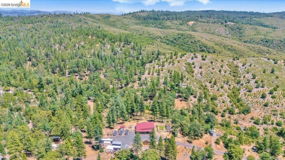 9935 Jackass creek Rd Groveland, CA 95321