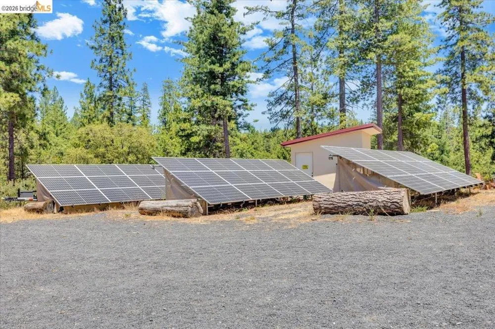 9935 Jackass creek Rd Groveland, CA 95321