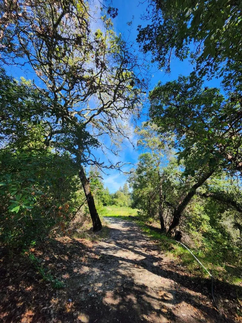 White Rock Los Gatos, CA 95033