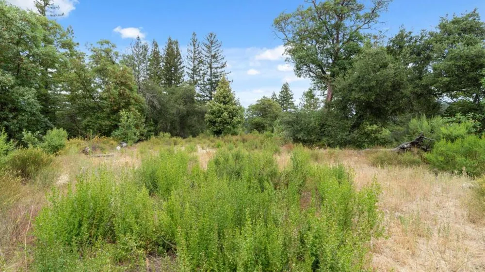 White Rock Los Gatos, CA 95033
