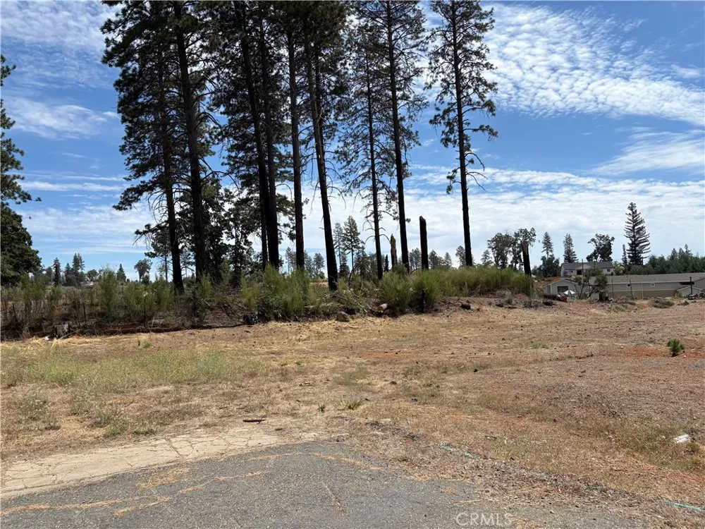 7224 Skyway Paradise, CA 95969