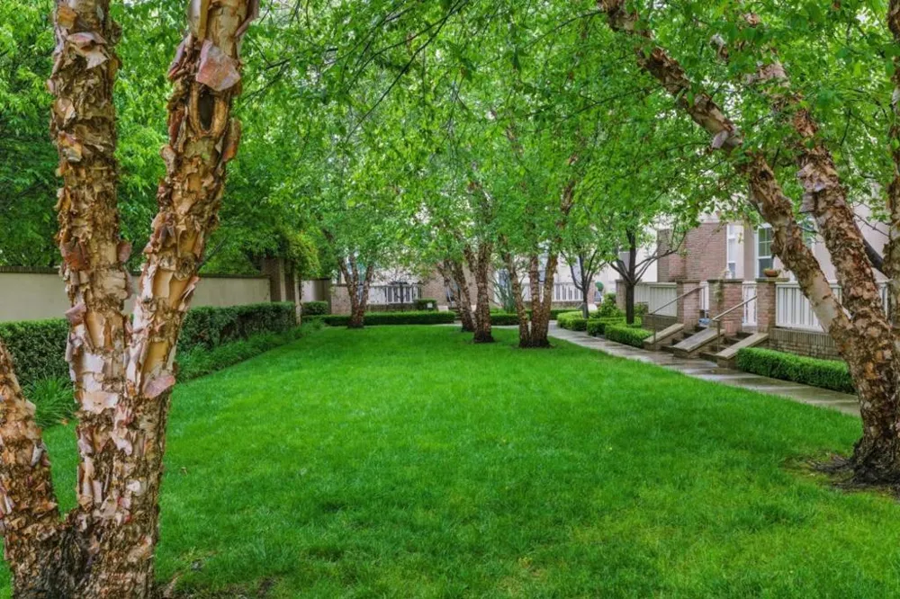 38 Silk Oak Terrace Fremont, CA 94536