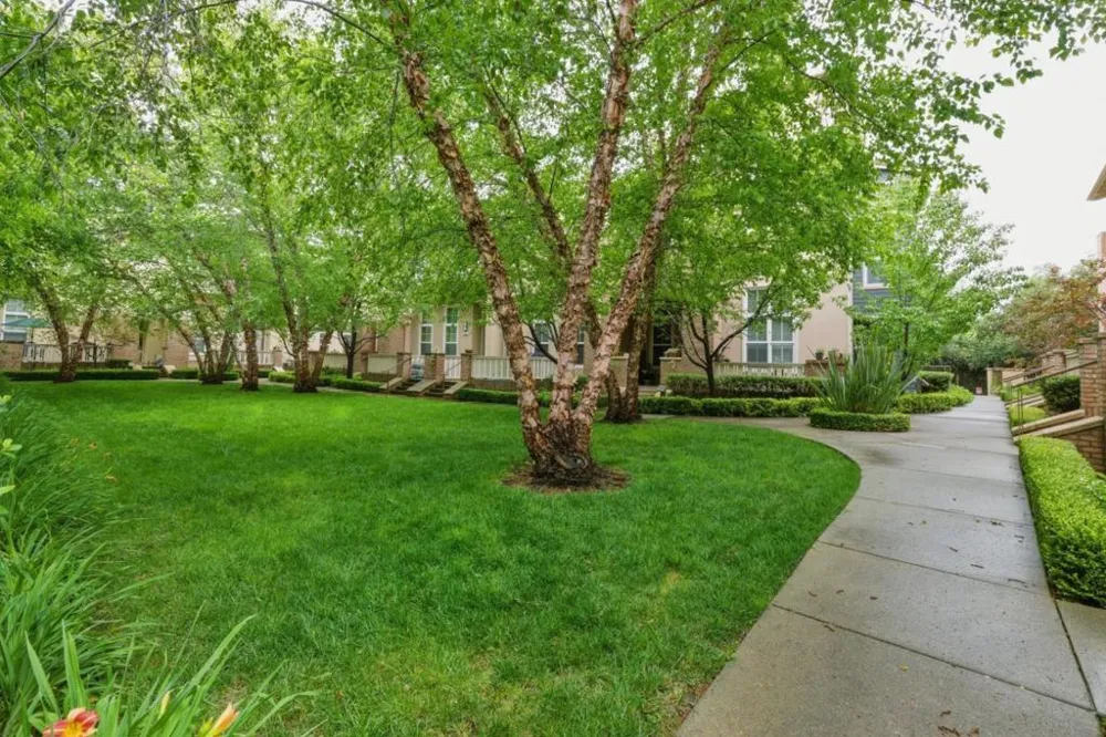 38 Silk Oak Terrace Fremont, CA 94536