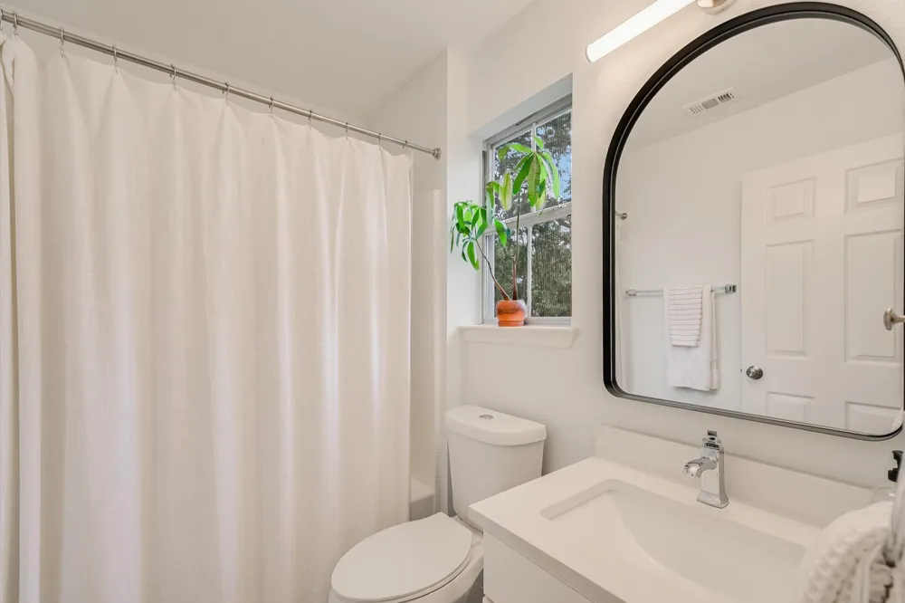 1011 Brodie Street #8 Austin, TX 78704