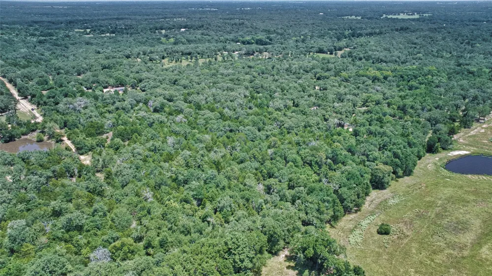 801 Starlight Path Road Caldwell, TX 77836