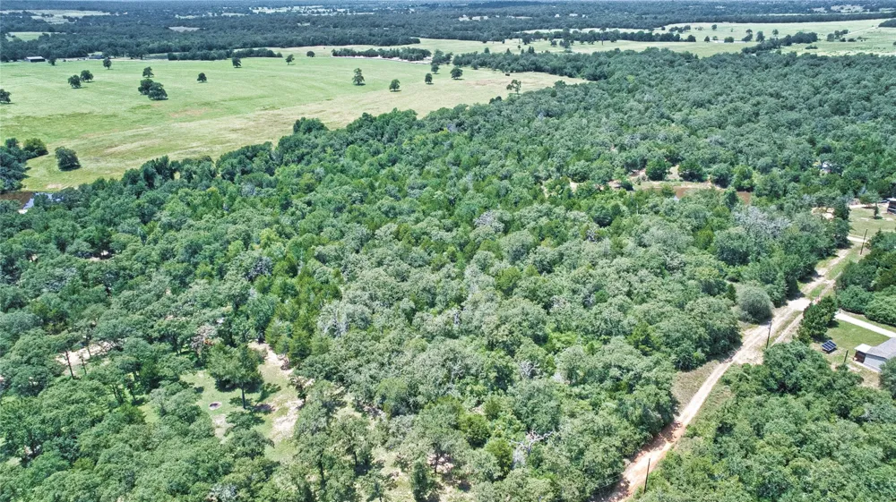 801 Starlight Path Road Caldwell, TX 77836
