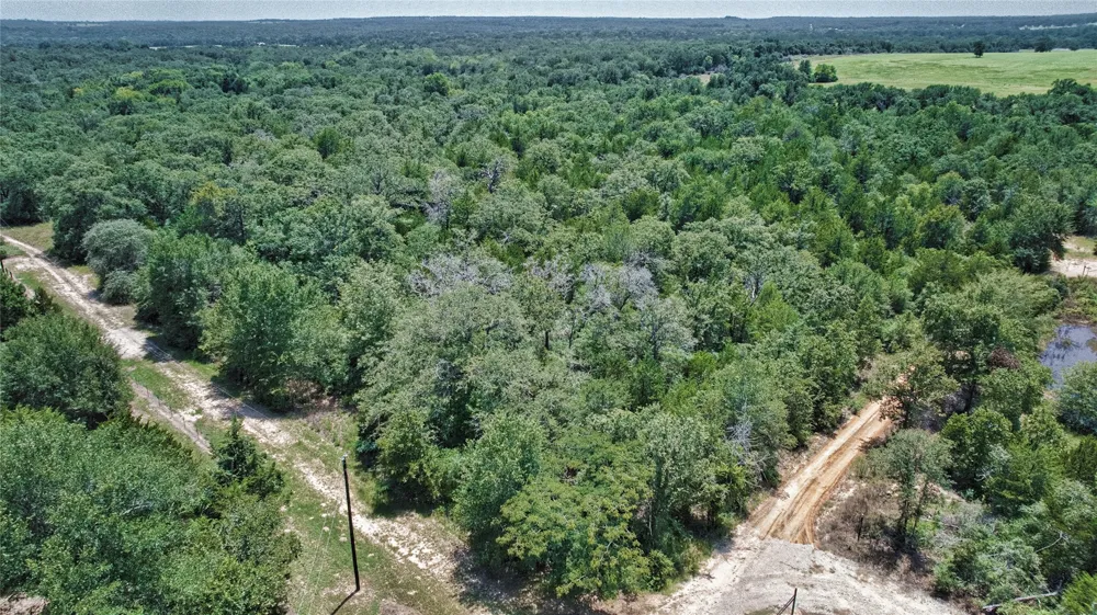 801 Starlight Path Road Caldwell, TX 77836