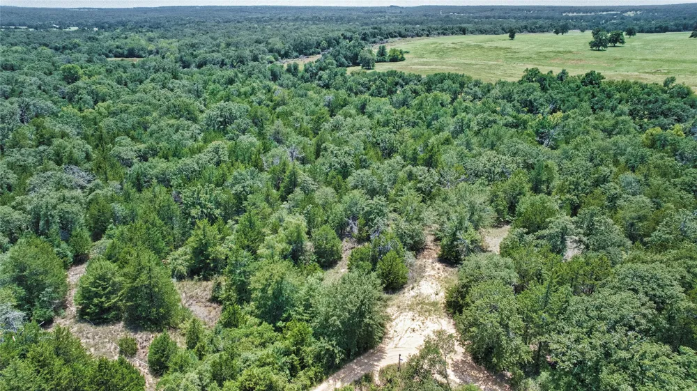 801 Starlight Path Road Caldwell, TX 77836