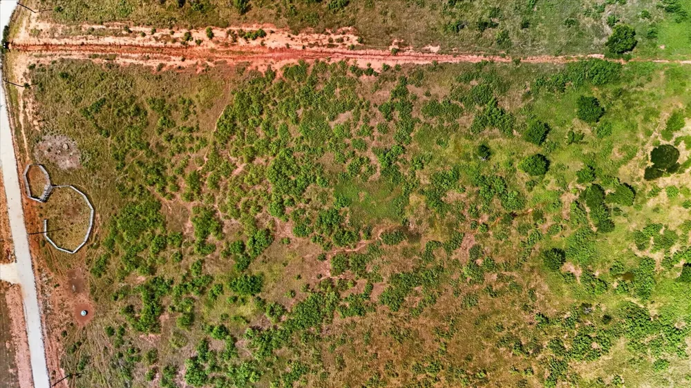 Longview Lane Bellevue, TX 76230