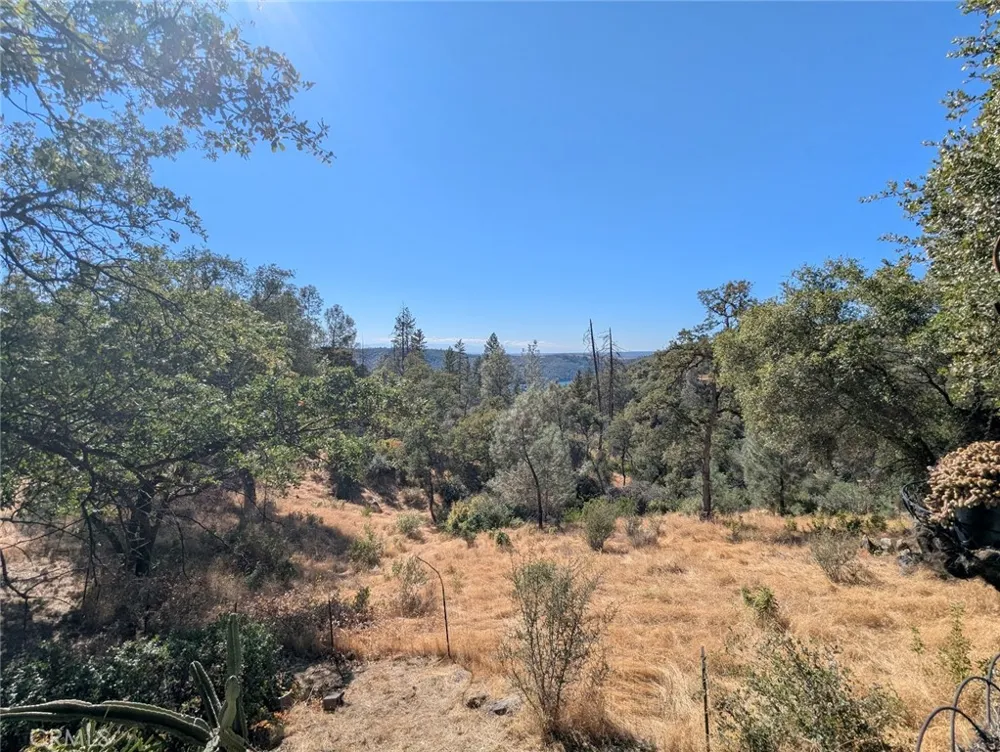 322 Deer Meadow Berry Creek, CA 95916